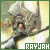 Link Rayjah // Donated by Cherri